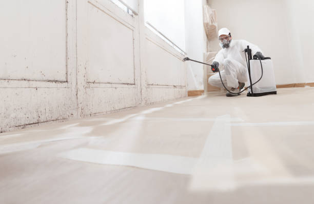 24/7 Emergency Bathroom Mold Removal experts in Auburn, WA